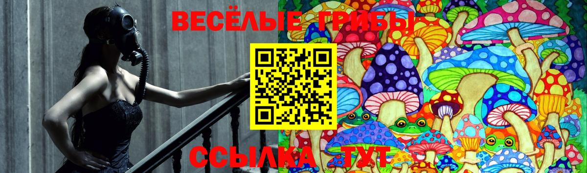 Октябрьский  Псилоцибиновые грибы Psilocybine cubensis  Вход с VPN 